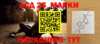 mdpv Донской