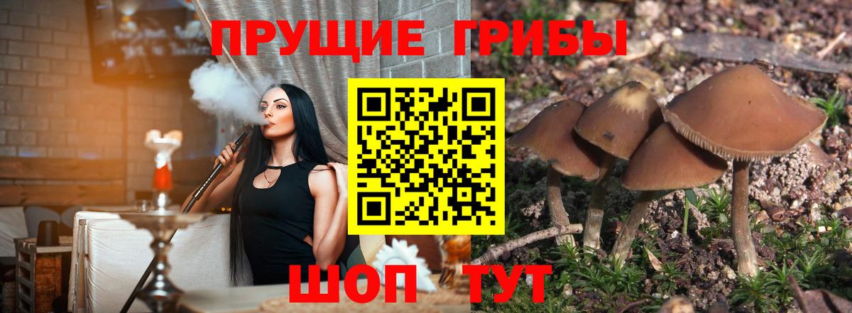 купить наркоту  Псилоцибиновые грибы GOLDEN TEACHER  Галлюциногенные грибы мухоморы  Вход с VPN  Лесозаводск 